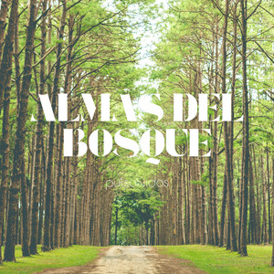 Almas del Bosque by Pulsonidos
