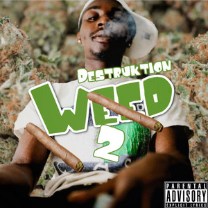 Kvnng Destruktion - Stoner