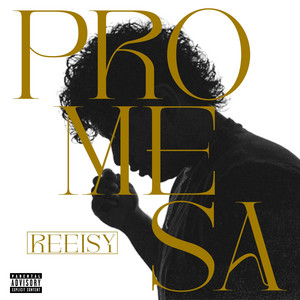 Reeisy - PROMESA