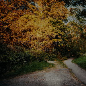 Yoga Masters - Affirming Sounds of Nature