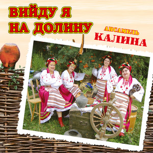 Обкладинка: Вийду я на долину