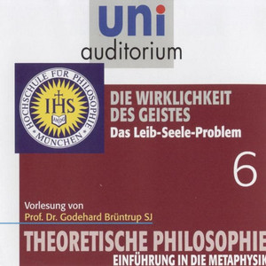 Die Wirklichkeit des Geistes (Das Leib-Seele-Problem)