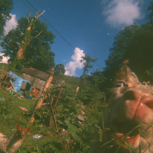 Fresco by Harmonic Sunshine