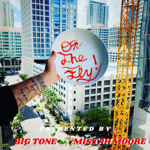 ON THE FLY! cover