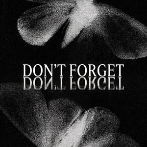 Don't Forget by silent anthem