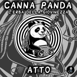 Atto - Canna Panda
