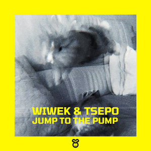 Jump To The Pump by Wiwek, Tsepo
