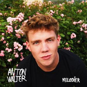 Melodier by Anton Walter