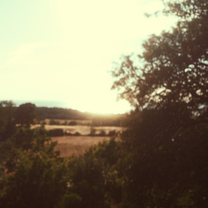 Look at the greenery by Emma Maye