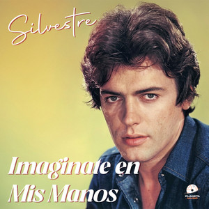 Imagínate En Mis Manos by Silvestre