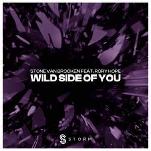 Wild Side of You by Stone Van Brooken, Rory Hope