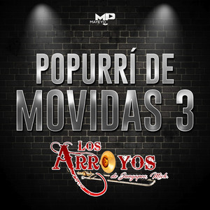 Popurri de Movidas 3: (Y ME BESA / EL CHICLE LA NENA / EVA MARIA LA CULEBRA / CHICA DEL BIQUINI AZUL) by Los Arroyos de Jungapeo Michoacan