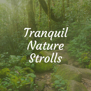 Tranquil Nature Strolls album