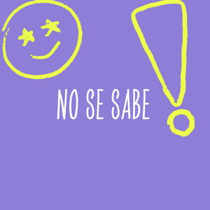 NO SE SABE by Dronie RD
