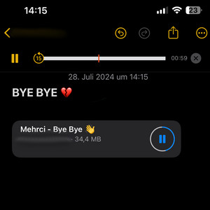 Portada de Bye Bye