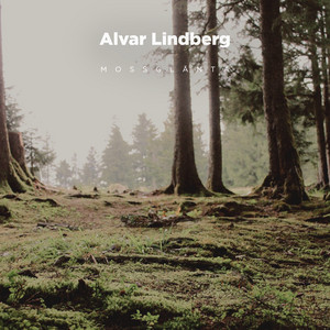 Daggmark by Alvar Lindberg