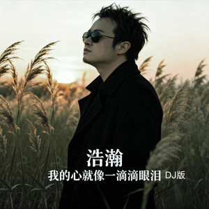 我的心就像一滴滴眼淚（DJ曉冬版） by 浩瀚