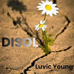 DISOL by Luvic Young