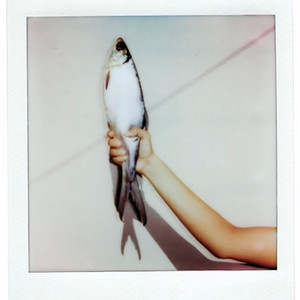 catch//release by TEHYA