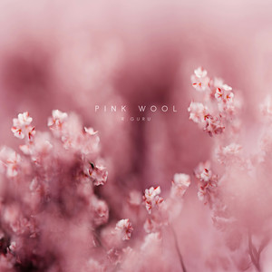 Pink Wool by R. Guru