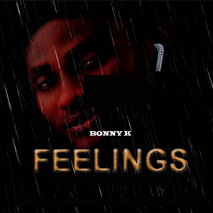 Bonny K - Feelings