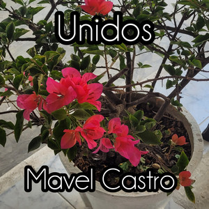 Desde Aquel Dia by Mavel Castro