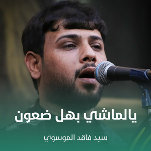 سيد فاقد الموسوي - يالماشي بهل ضعون