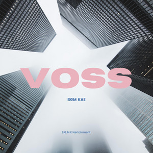 Portada de Voss