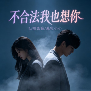 不合法我也想你 - 对唱版 by 烟嗓嘉良, 慕容小小