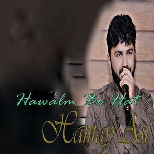 Hamay Asi - Hawalm Bo Hat