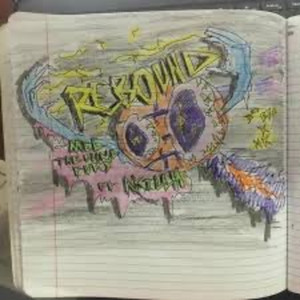 Portada de Rebound