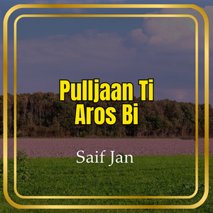 Saif Jan - Qismat Ham Sath Nadaat