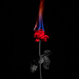 Alışmamış gibi by ERN