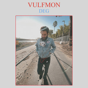 Vulfpeck Vulfmon 3000枚限定アルバム　レコード DEG