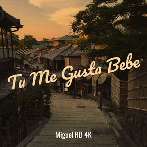 Tu Me Gusta Bebe by Miguel RD 4K