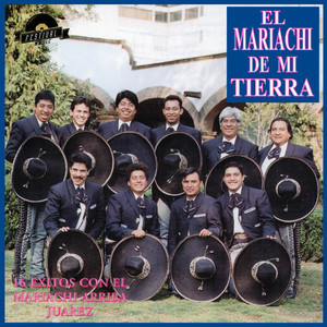 Mariachi Arriba Juárez - Son de la Negra