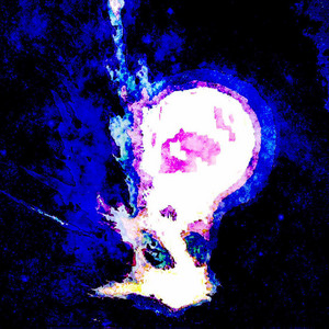 Ceres Black - 505711