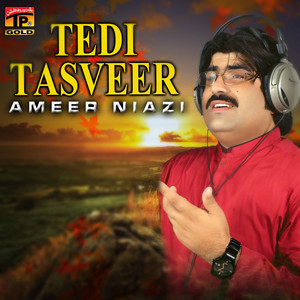 Ameer Niazi - Tedi Tasveer