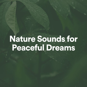 Nature Sounds for Peaceful Dreams album