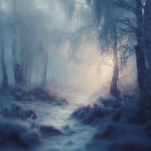 The Pale Shiver by Vindsvept