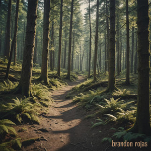 saw you looking back