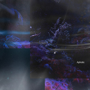 Jay Taylor — Aphotic (2026)