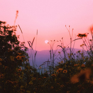 Changing Seasons by Astral