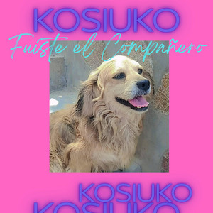 Fuiste el compañero by KOSIUKO