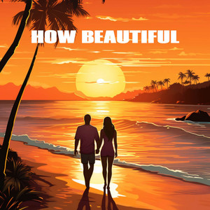 How Beautiful - Lofi