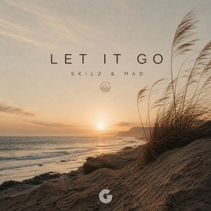 Let It Go - Radio Edit by SKILZ & MAD
