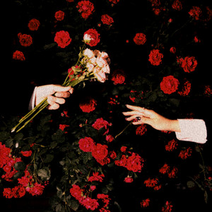 a Rose by Yeon., Eunhye
