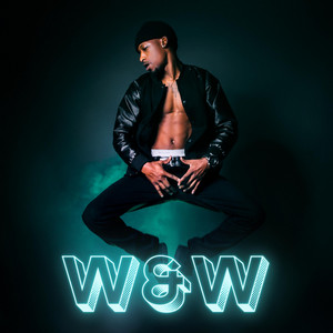Wave cover art