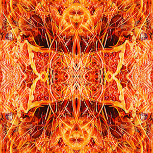 Blessu - Princess Mononoke