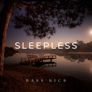 Sleepless by Bass Kick